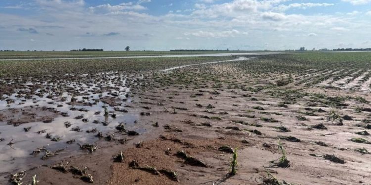 Lluvias y mucho viento, la postal del fin de semana