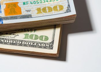 ¿Qué instrumento rindió más para mantener el poder de compra en 2023, dólar o UI?