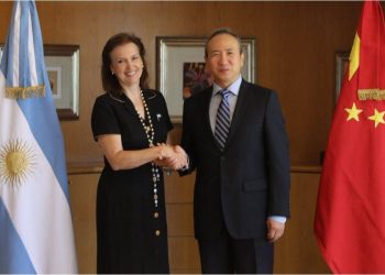 Reunión de Diana Mondino con embajador chino para bajar la tensión