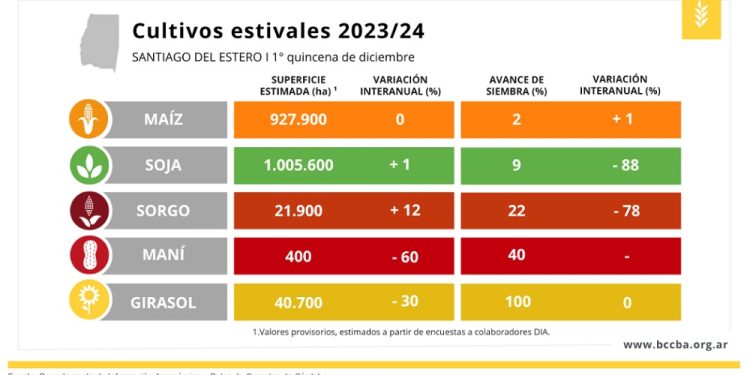 Santiago del Estero: se sembraron 40 mil hectáreas de girasol
