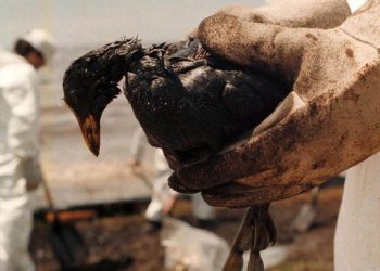 Se cumplen 25 años del derrame de Magdalena, el «más grande del mundo» en aguas dulces