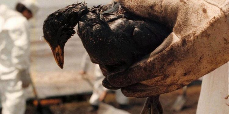 Se cumplen 25 años del derrame de Magdalena, el «más grande del mundo» en aguas dulces