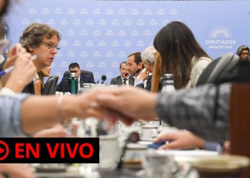 Se reanudó el debate en comisiones de Diputados por la ley “Bases”