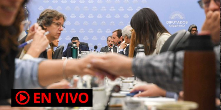 Se reanudó el debate en comisiones de Diputados por la ley “Bases”