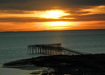 Todo sobre las ostras, un objeto del deseo que tiene su fiesta y «producción» nacional