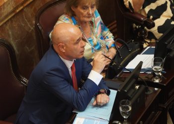 Abdala no descartó que el Senado proponga cambios para aprobar la ley “Bases”