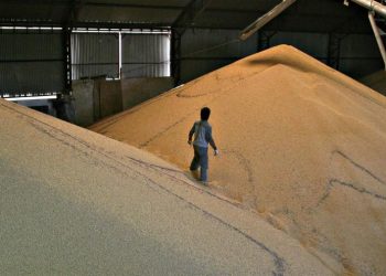 Agropecuarios ratificaron su rechazo a los derechos de exportación y esperan que bajen