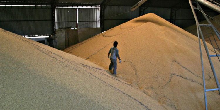 Agropecuarios ratificaron su rechazo a los derechos de exportación y esperan que bajen