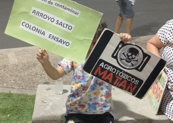 “Bichos de ciudad” contra «envenenadores»: un pueblo de Entre Ríos en guerra por las fumigaciones