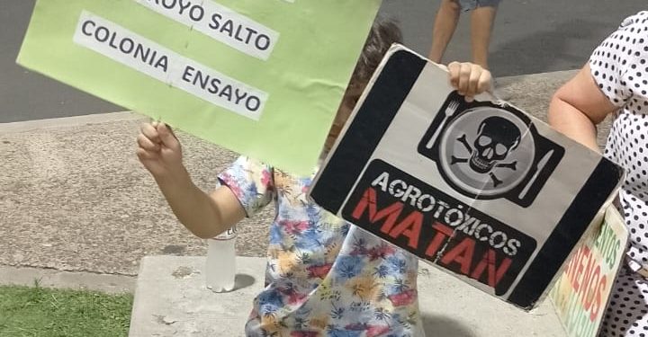 “Bichos de ciudad” contra «envenenadores»: un pueblo de Entre Ríos en guerra por las fumigaciones