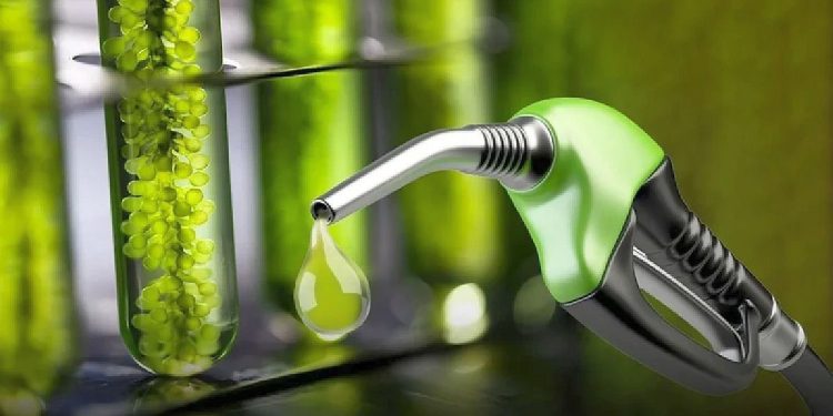 Biocombustibles: pese a cambios en ley ómnibus, provincias propondrán más modificaciones