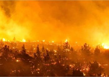 Chile: ascienden a 112 los muertos por los incendios forestales