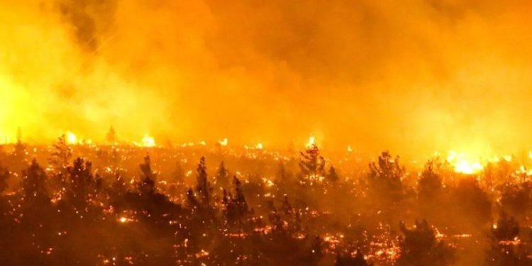 Chile: ascienden a 112 los muertos por los incendios forestales