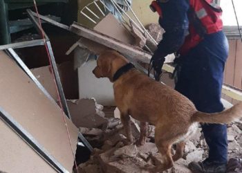 Colapsó un edificio y murieron dos personas: habían denunciado una obra lindera habilitada por la Ciudad