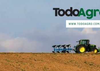 Condición del arroz a nivel nacional a fines de enero de 2024