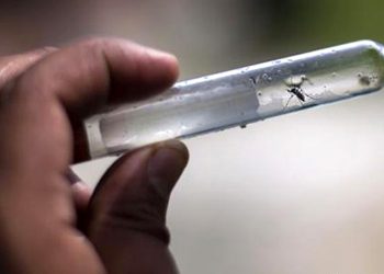 Cuáles son los municipios bonaerenses en emergencia por la circulación del dengue