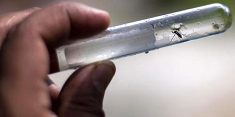 Cuáles son los municipios bonaerenses en emergencia por la circulación del dengue