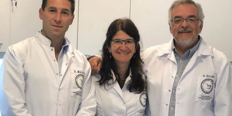 Del Hospital Gutiérrez al mundo: prueban la eficacia de un tratamiento corto para evitar la transmisión del Chagas en el embarazo