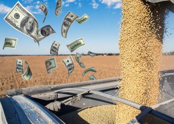 «Dólar Exportación», el nuevo índice para los negocios agropecuarios que ya genera adeptos