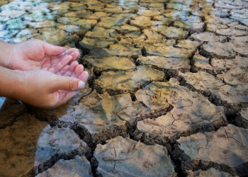 El agro apunta a “cosechar agua” para enfrentar una nueva sequía
