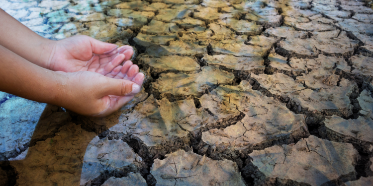 El agro apunta a “cosechar agua” para enfrentar una nueva sequía