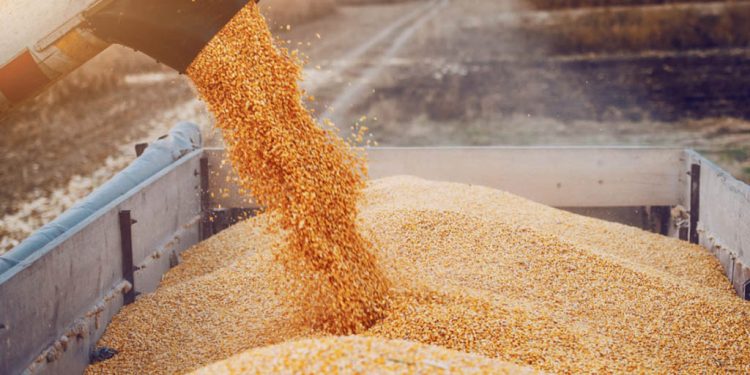 El campo y las dudas por el esquema del dólar 80/20