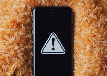 Fin del mito: Apple dice que si se moja el celular, no hay que usar arroz