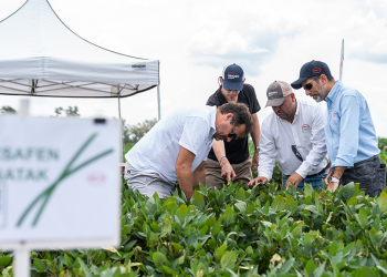 HELM Argentina mostró resultados prometedores de dos nuevos bioinsumos 