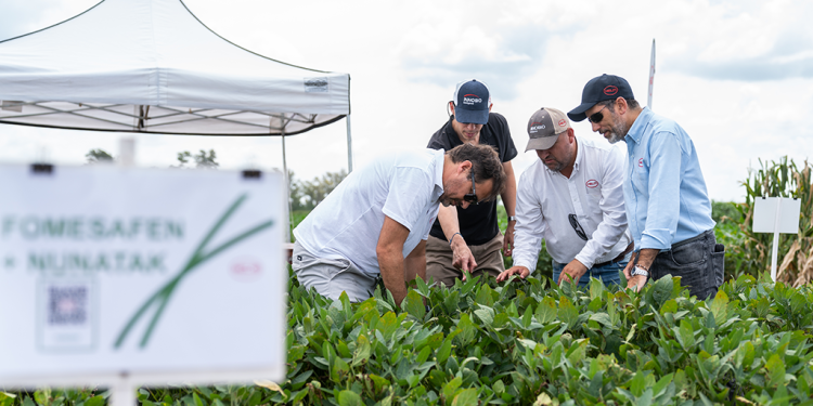 HELM Argentina mostró resultados prometedores de dos nuevos bioinsumos 
