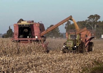 La agroindustria generó el 55% de las exportaciones argentinas en 2023