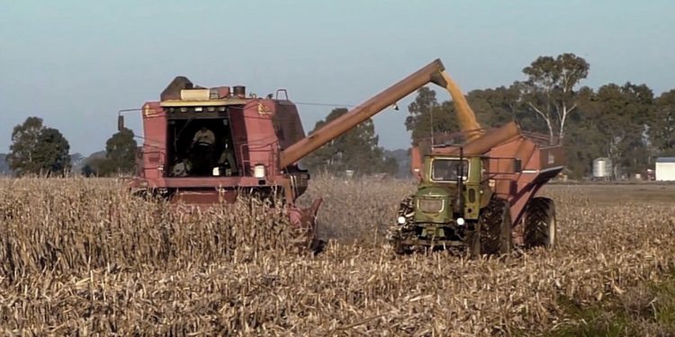 La agroindustria generó el 55% de las exportaciones argentinas en 2023