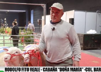 La Asociación Argentina de Criadores de Pampinta tiene nuevas autoridades