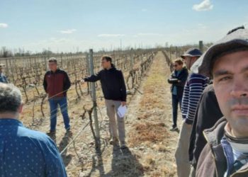 La Universidad de Cuyo, la primera en integrar el grupo de experimentación agrícola CREA