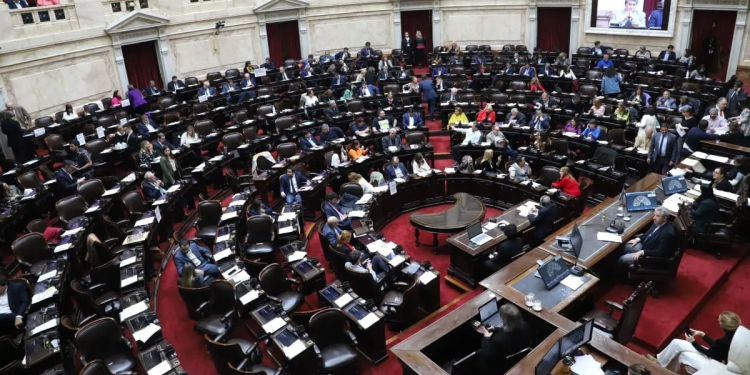 Ley ómnibus: comenzó la sesión para tratar los artículos en particular