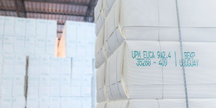 Los precios de la celulosa siguen al alza, pero podrían caer en el segundo semestre