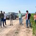 Primeras experiencias con CS e intersiembras en el NOA