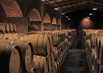 Un grupo asociativo de mujeres productoras de vinos realizará su primera exportación