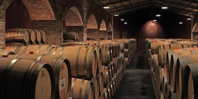 Un grupo asociativo de mujeres productoras de vinos realizará su primera exportación