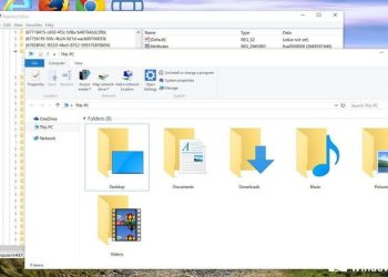 Back up: por qué es importante estar al día con el respaldo de los archivos