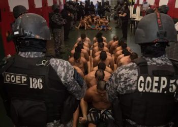 «Cada vez la van a pasar peor»: desafiante mensaje del gobierno de Santa Fe a presos, con foto incluida