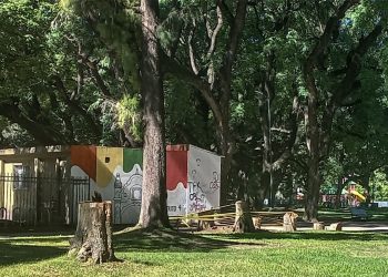 Denuncian que la Ciudad está «destrozando» los árboles del Parque de los Patricios