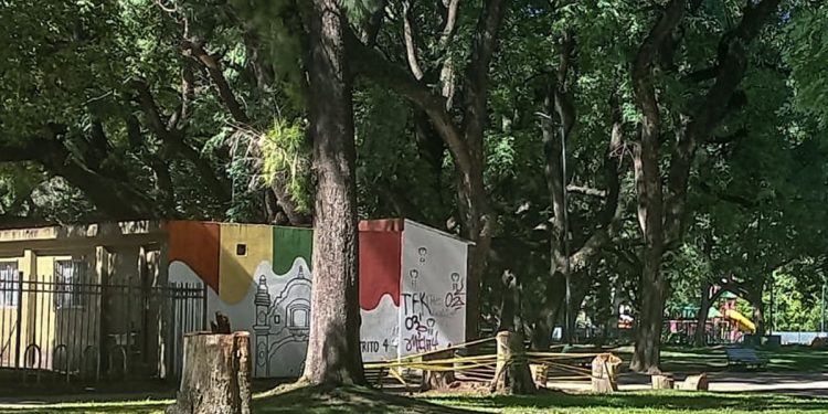 Denuncian que la Ciudad está «destrozando» los árboles del Parque de los Patricios