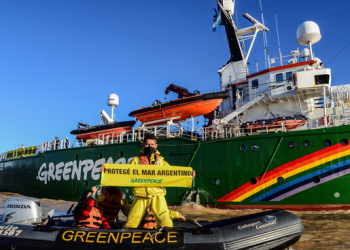 Diputado de La Libertad Avanza pidió declarar a Greenpeace “organización terrorista”