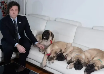 Javier Milei habló de su rutina en Olivos y sorprendió al contar detalles de sus perros