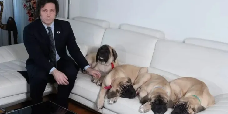 Javier Milei habló de su rutina en Olivos y sorprendió al contar detalles de sus perros
