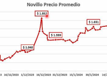 La ganadería está mejor, con costos altos pero con buena perspectiva