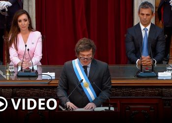 “Si bien ha habido licuación, hubo mucho más motosierra”