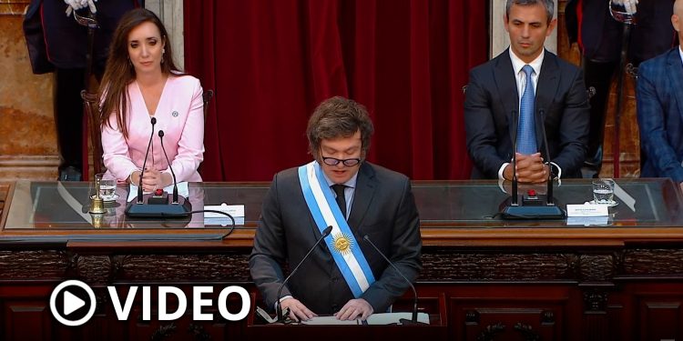 “Si bien ha habido licuación, hubo mucho más motosierra”