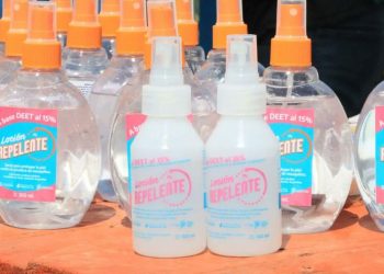 Cómo la provincia de Buenos Aires asumió la batalla contra el dengue