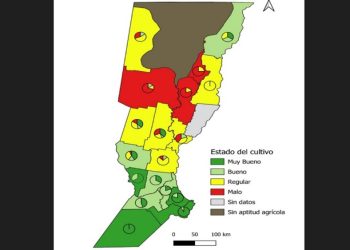 ¿Cómo se encuentra el maíz y la soja en Santa Fe?